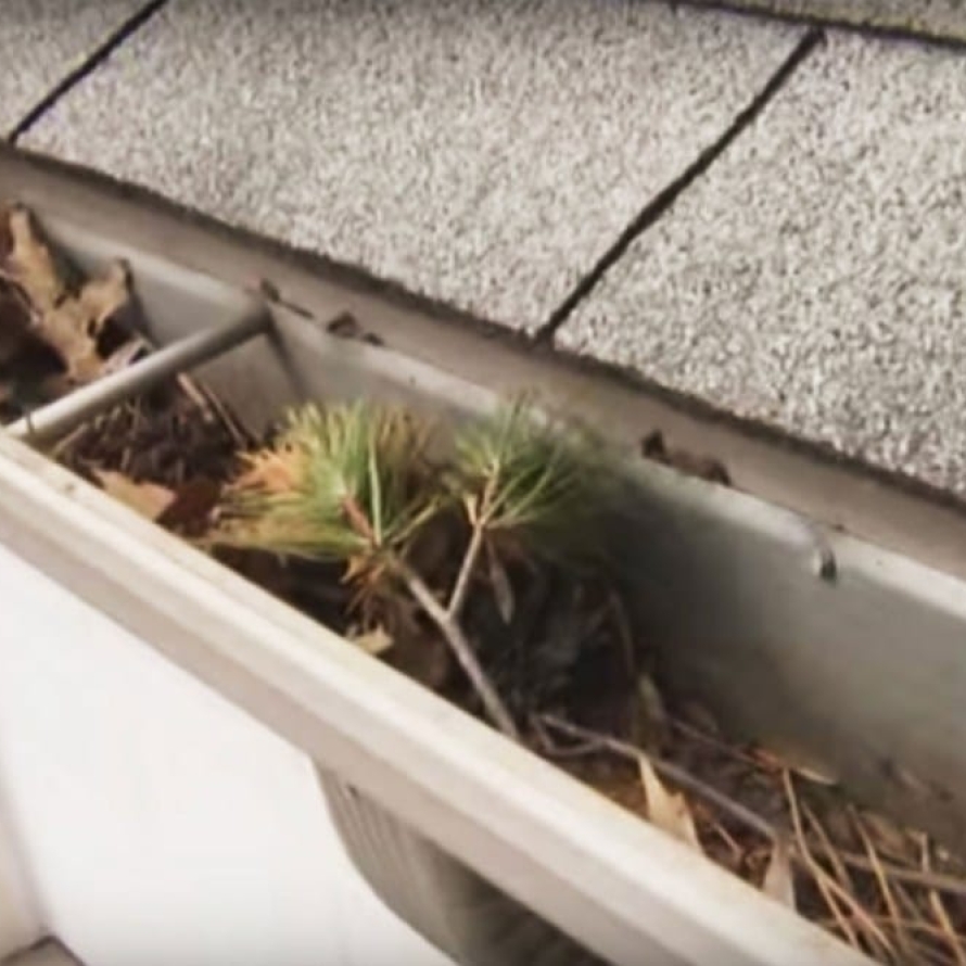 Roof-gutter-cleaning-01